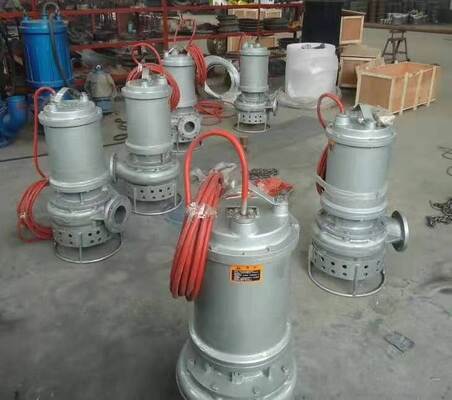 Duck Farm Slurry Submersible Pump SS304 With Head Up To 80 Meters Offering Performance in Demanding Slurry Applications