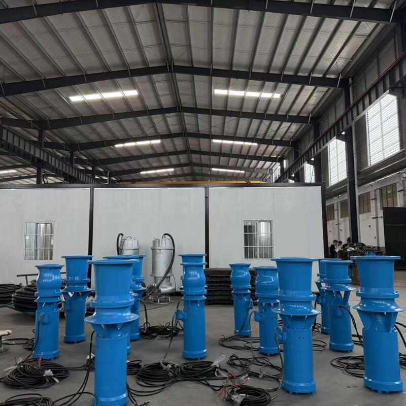Bomba de caudal axial sumergible de 45 kW con caudal de 1300 m3/h y cabeza de 8 m para drenaje de alto caudal