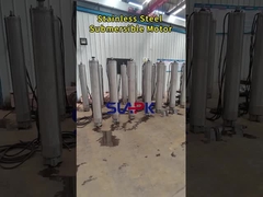 Motor sumergible de 125 kW